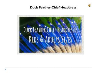 feather headdress for sale