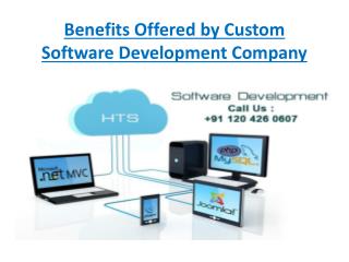 Benefits Offered by Custom Software Development Company