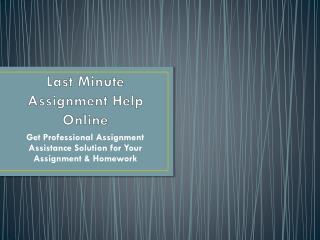 Get Last Minute Assignment Help Online Only on Myassignmenthelp.com