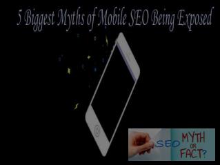 5 Common SEO Myths Exposed | yourSEOpick