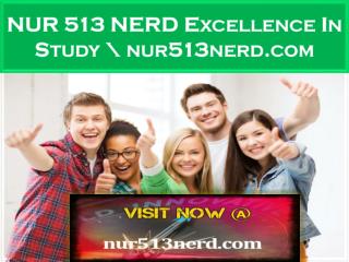 NUR 513 NERD Excellence In Study \ nur513nerd.com
