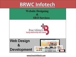 Excellent SEO Services Providers in Jaipur, India -BRWC InfoTech