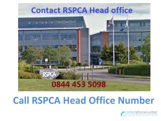 Call RSPCA Head Office Number 0844 453 5098