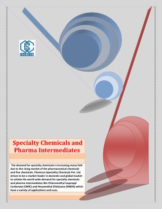 Specialty Chemicals and Pharma Intermediates