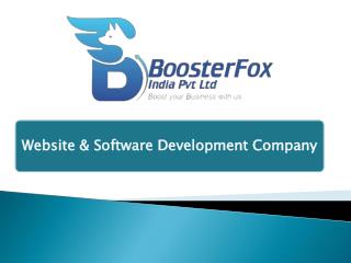 Boosterfox Pvt Ltd: Software & Development Company to boost your BUSINESS