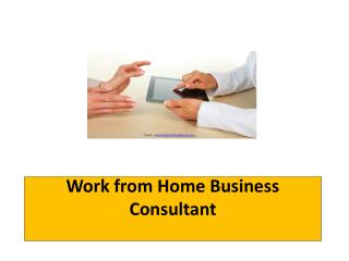 Work from Home Business Consultant