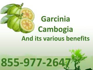 Garcinia Cambogia Benefits - GarciniaCambogiaOnlineStore.pptx