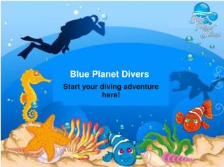Blue planet divers