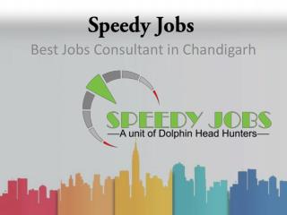 Best Job Consultants in Chandigarh - Speedy Jobs