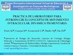 I Encuentro Internacional Virtual 2009 de Educaci n e Investigaci n en Ciencias Morfol gicas. C rdoba, Argentina