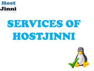 Services of Hostjinni - Linux VPS Web Hosting