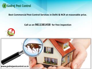 Get 10% discount on pest control and termite treatment in Faridabad-Contact Godrej Pest Control 9811381458