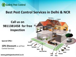 Get 10% OFF on pest control and termite treatment in Noida, Faridabad, Ghaziabad, Gurgaon,Indirapuram and Dwarka-Contact