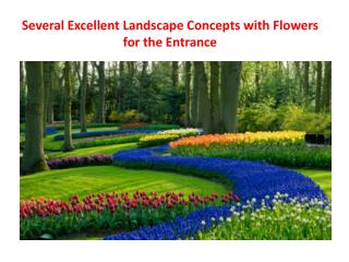 Several Excellent Landscape Concepts with Flowers for the Entrance