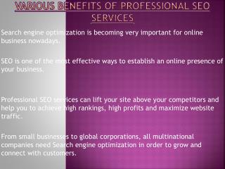 Various Benefits of Professional SEO Services