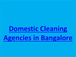 Domestic Cleaning Agencies in Bangalore