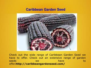 Non-GMO Seeds For Sale