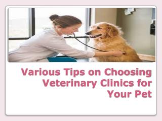 Various Tips on Choosing Veterinary Clinics for Your Pet