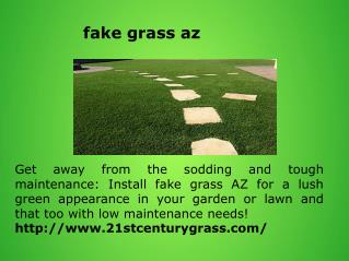 fake grass az