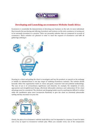 Developing and Launching an ecommerce Website South Africa