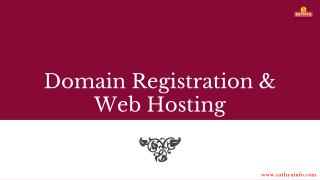 Best Domain Registration & web hosting company - SATHYA Technosoft