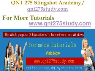 QNT 275 Slingshot Academy / qnt275study.com