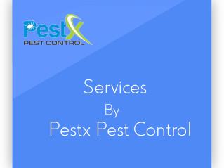 Services By Pestx Pest Control