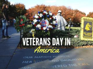Veterans Day in America