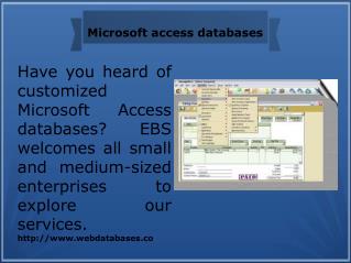 Microsoft access databases