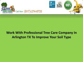 Work With Professional Tree Care Company In Arlington TX To Improve Your Soil Type
