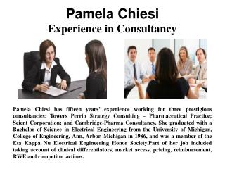 Pamela Chiesi - Experience In Consultancy