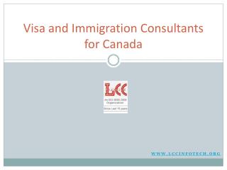 Immigration Consultants