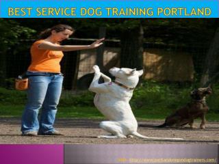Best service dog training Portland