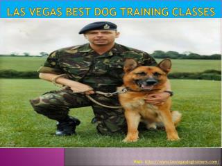 Las Vegas Best Dog Training Classes
