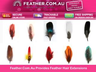 Feather.Com.Au Provides Feather Hair Extensions