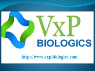 Biologics Process Development of Protein Expression At VxP Biologics