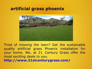 artificial grass phoenix