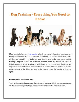 Bronxville Dog Training