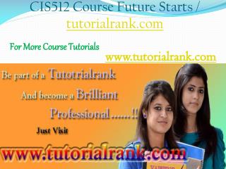 CIS 512 Course Experience Tradition / tutorialrank.com