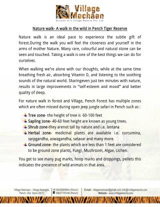 Nature walk- A walk in the wild in Pench Tiger Reserve
