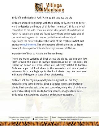 Birds of Pench National Park–Natures gift to grace the sky