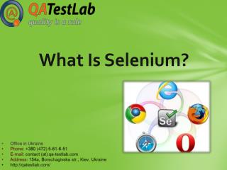 What Is Selenium?