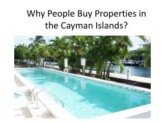 Why People Buy Properties in the Cayman Islands?