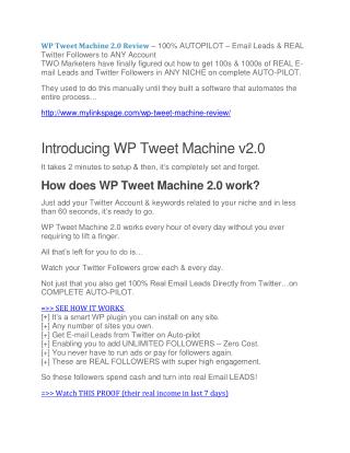 WP Tweet Machine review