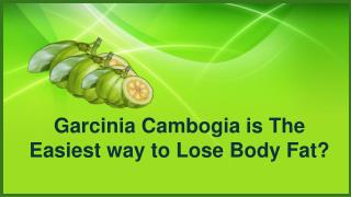 Garcinia Cambogia is The Easiest way to Lose Body Fat