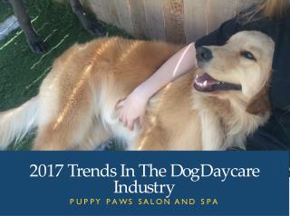 2017 Trends In The Dog Daycare Industry