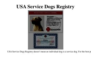 Service dog id