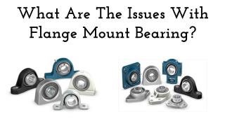 What Are The Issues With Flange Mount Bearing?