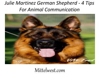 Julie Martinez German Shepherd - 4 Tips For Animal Communication