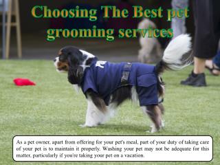 Choosing The Best pet grooming services